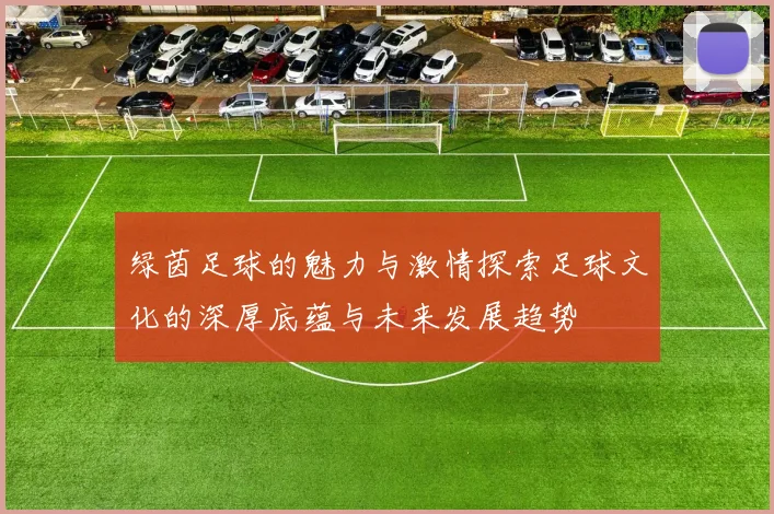 绿茵足球的魅力与激情探索足球文化的深厚底蕴与未来发展趋势