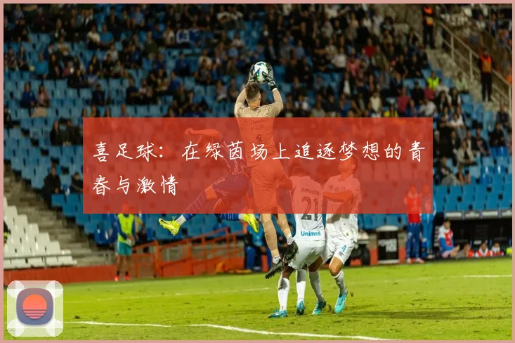 喜足球：在绿茵场上追逐梦想的青春与激情