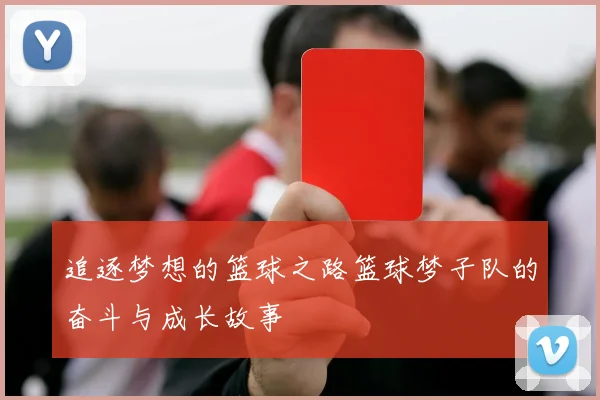 追逐梦想的篮球之路篮球梦子队的奋斗与成长故事
